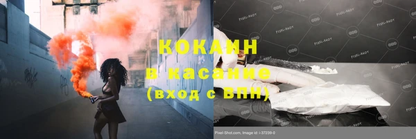 мяу мяу кристалл Няндома