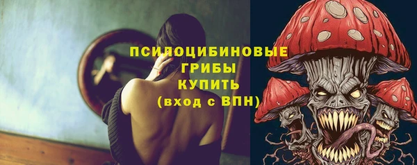 каннабис Новозыбков